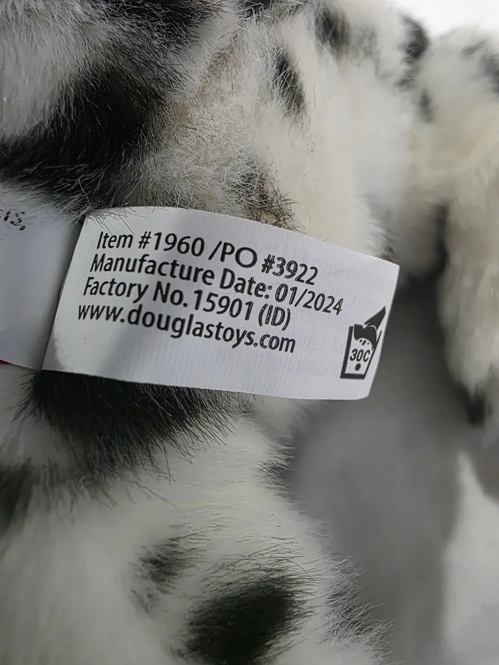 Douglas MACKAY DALMATIAN Dog Puppy Retired